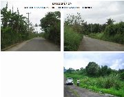 Residential Lot Big Cuts -- Foreclosure -- Tagaytay, Philippines