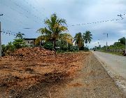 lot for sale, lot for sale panabo, lot for sale davao, lot for sale carmen -- Land -- Panabo, Philippines