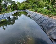 membrane, fish pond, koi, lagoon, sanitary, landfill, hdpe, ldpe, retention, swamp, river, dam, hydroponic, aquaponic, biogas -- Agriculture & Forestry -- Ilocos Sur, Philippines