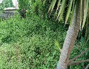 LAND FOR SALE AT BF HOMES NOVALICHES -- Land -- Metro Manila, Philippines