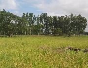 For Sale -- Land -- Bulacan City, Philippines