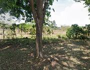 residential, lot, for, sale, dasmarinas, city, cavite, commercial -- Land -- Cavite City, Philippines