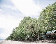 ID 14831 -- Beach & Resort -- Negros oriental, Philippines