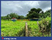 PDM085 - Silang Cavite Farm Lot For Sale -- Land -- Cavite City, Philippines