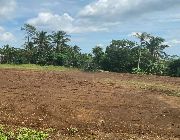 farm, lot, for, sale, liliw, laguna, investment -- Land -- Laguna, Philippines