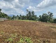 farm, lot, for, sale, liliw, laguna, investment -- Land -- Laguna, Philippines