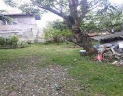 ID 14844 -- House & Lot -- Negros oriental, Philippines