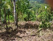 Lot For Sale -- Farms & Ranches -- Rizal, Philippines