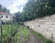 ID 14848 -- Land -- Dumaguete, Philippines