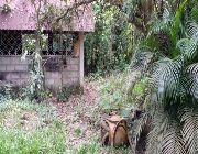 ID 14852 -- House & Lot -- Negros oriental, Philippines