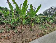 lot, for, sale, at, cavite, near, tagaytay, city, indang, hectares -- Land & Farm -- Cavite City, Philippines