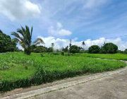 residential, lot, for, sale, silang, cavite, near, tagaytay, city -- Land -- Cavite City, Philippines