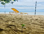 Beachfront, Beach Lot, Beach Property, White Sand, Playa Laiya -- Land -- San Juan, Philippines