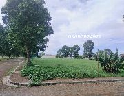 RoyaleTagaytayEstatesLotsForSale, LotsForSaleinRoyaleTagaytayEstates -- Land -- Tagaytay, Philippines