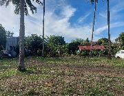ID 14905 -- Land -- Dumaguete, Philippines