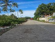 ID 14905 -- Land -- Dumaguete, Philippines