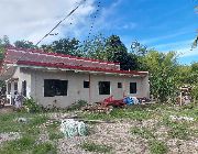 ID 14904 -- House & Lot -- Negros oriental, Philippines