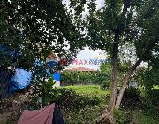 For Sale Ayala Alabang Vacant Lot -- Land -- Muntinlupa, Philippines