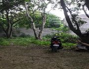 Residential Lot with Fruit Bearing Trees for Sale -- Land & Farm -- Damarinas, Philippines