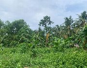 ID 14914 -- Land -- Negros oriental, Philippines