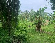 ID 14914 -- Land -- Negros oriental, Philippines