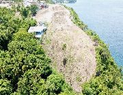 resort for sale, resort for sale Philippines -- Land -- Oriental Mindoro, Philippines