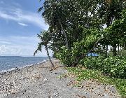 ID 14926 -- Land -- Negros oriental, Philippines