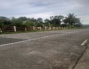 ID 14937 -- Land & Farm -- Negros Occidental, Philippines