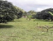 ID 14937 -- Land & Farm -- Negros Occidental, Philippines