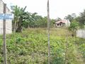 bohol, lot for sale, panglao, philippines, -- All Real Estate -- Tagbilaran, Philippines