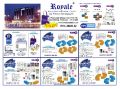 royale business club independent distributor fee (starter kit), -- Distributors -- Imus, Philippines