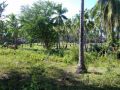marinduque, hectares, for sale, -- Land -- Marinduque, Philippines