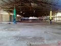 3, 000sqm warehouse for rent in lapu lapu city cebu, -- Commercial & Industrial Properties -- Lapu-Lapu, Philippines
