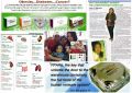 cleanse, colon cleanse, detox, detoxification, -- Nutrition & Food Supplement -- Metro Manila, Philippines