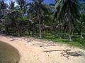 beachfront property, luxury estate, million dollar listing, revenue potential, -- Beach & Resort -- Palawan, Philippines