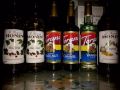 syrups, monin, torani, flavored syrups, -- Other Business Opportunities -- Manila, Philippines