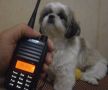 two way radio, motorola, vhf radio, warranty, -- Radio and Walkie Talkie -- Rizal, Philippines