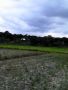 farm land;mango farm, -- Farms & Ranches -- Bulacan City, Philippines