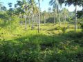 agri land, farm land, -- Land & Farm -- Quezon Province, Philippines