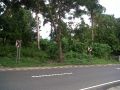 lot for sale in batangas, -- Land -- Batangas City, Philippines