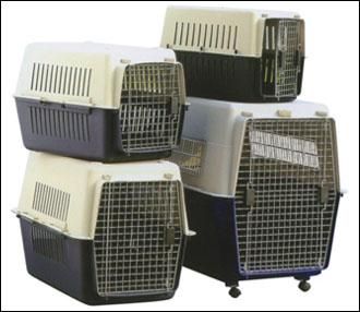 dogs, pets, kennels, pet carriers, -- All Animals -- Metro Manila, Philippines