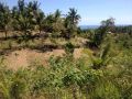 agricultural lots, affordable real estate, lot for sale, -- House & Lot -- Cebu City, Philippines