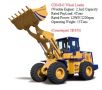 cdm843 wheel loader lonking, -- Trucks & Buses -- Quezon City, Philippines