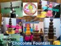 chocolate fountain 56cm, -- Other Business Opportunities -- Metro Manila, Philippines