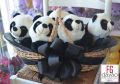 panda basket, panda bears, basket of pandas, stuffed toy, -- All Arts & Crafts -- Davao City, Philippines