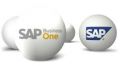 sap business one, -- Software -- Quezon City, Philippines