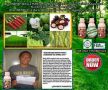 buah merah, organic, natural, supplement, -- Natural & Herbal Medicine -- Taguig, Philippines