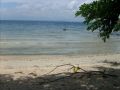 SAN JOSE WHITE BEACH SAMAL -- Land -- Davao del Norte, Philippines