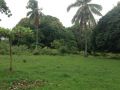 httpwwwpersquarecomphfor salefarm central visayas cebu carcarmango farm lot, -- Land & Farm -- Cebu City, Philippines