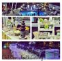 caterer, event, wedding, -- Food & Related Products -- Davao City, Philippines